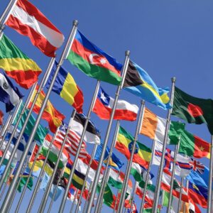 Cursus - HBO Internationale Contracten
