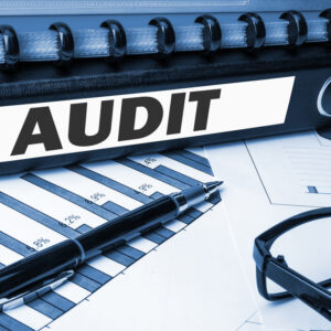 MBO Workshop - Interne audits (Boost!)