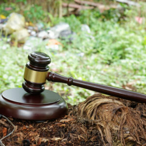 Kernopleiding Praktisch Omgevingsrecht (Privé Studie)