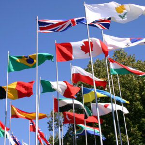 Kernopleiding Praktisch Internationaal Recht (Blended Learning)