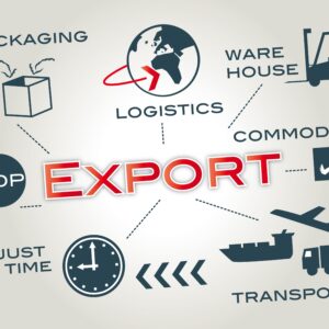 MHBO Praktisch Export Binnendienst (1 jaar) (Thuisstudie)